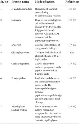 Phage derived lytic peptides, a secret weapon against Acinetobacter baumannii—An in silico approach